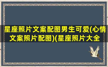 星座照片文案配图男生可爱(心情文案照片配图)(星座照片大全 动漫 男生)